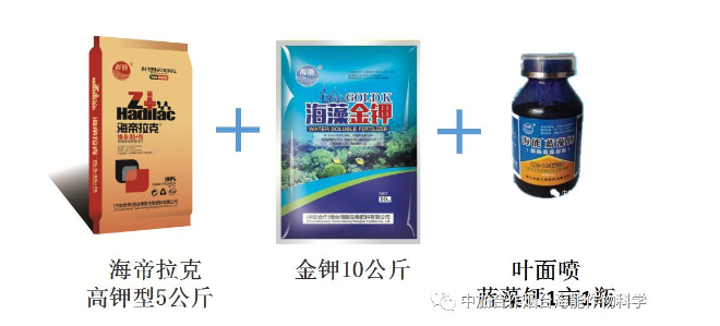 久久久久久久精品免费久精品蜜桃生物高品質葡萄全程“傻瓜式”施肥方案